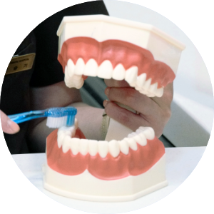 Mir Implant System image1